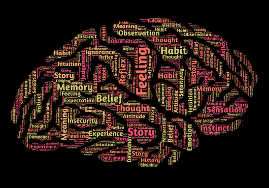 mind lectures images of brain