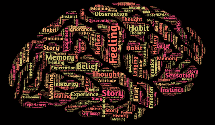 mind lectures images of brain