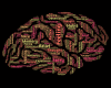 mind lectures images of brain